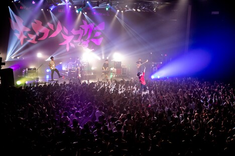 客席で仁王立ちするヤマサキセイヤ（キュウソネコカミ）。（撮影：Viola Kam［V'z Twinkle］）