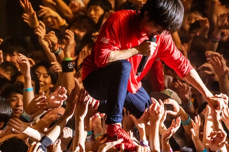 ヤマサキセイヤ（キュウソネコカミ）（撮影：Viola Kam［V'z Twinkle］）