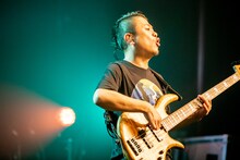 カワクボタクロウ（キュウソネコカミ）（撮影：Viola Kam［V'z Twinkle］）