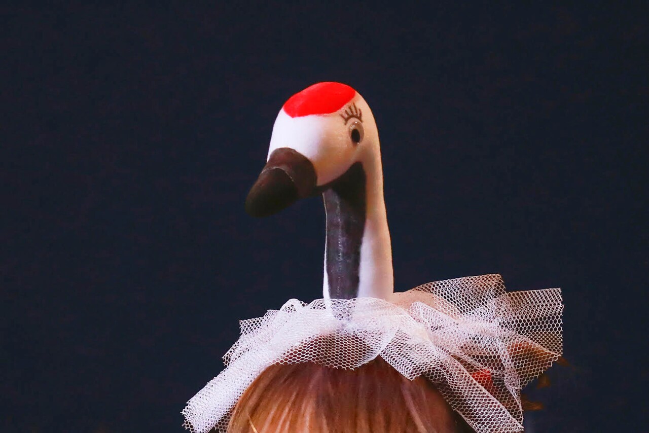 鶴になったコレサワ、音楽でファンに“おんがえし”