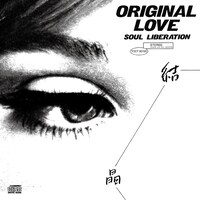 ORIGINAL LOVE「結晶 -SOUL LIBERATION-」（1992年）