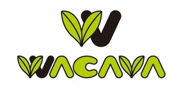 SACRA MUSICのアニソングローバルカバープロジェクト始動、第1弾はLiSAと春奈るな