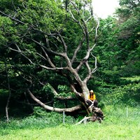 Friday Night Plans「Complex」配信ジャケット