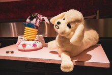 「プー・ルイのフェルティワールド」展示作品