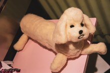 「プー・ルイのフェルティワールド」展示作品