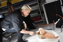 左から西川貴教、愛犬のうぃ。