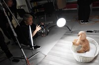 左から西川貴教、愛犬のうぃ。