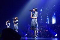 Negicco