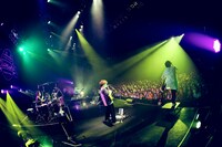 sumika「sumika Live Tour 2019 -Wonder Bridge-」11月18日の愛知・Zepp Nagoya公演の様子。（撮影：後藤壮太郎）