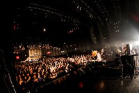 浅井健一 & THE INTERCHANGE KILLS「BLOOD SHIFT TOUR 2019」ファイナル公演の様子。（撮影：岩佐篤樹）