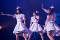 「けどハニカミ」を披露するTask have Fun。（写真提供：Velvet management）