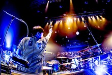 BLUE ENCOUNT「BLUE ENCOUNT TOUR2019『B.E. with YOU』」Zepp Tokyo公演の様子。（撮影：浜野カズシ）