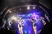 「predia path anniversary tour 2019[SHINKA]presents by LIVE DAM Ai」ファイナル公演の様子。（撮影：菊島明梨）