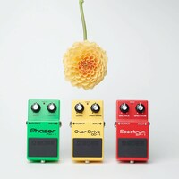 BOSSのエフェクター。（写真提供：西槇太一）