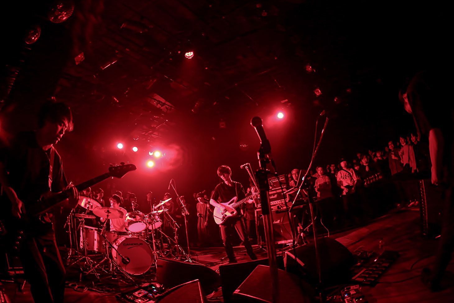 LITE（Photo by SARU［Ayumi Saruya］）