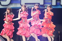 乃木坂46（提供：ソニー・ミュージックレーベルズ）