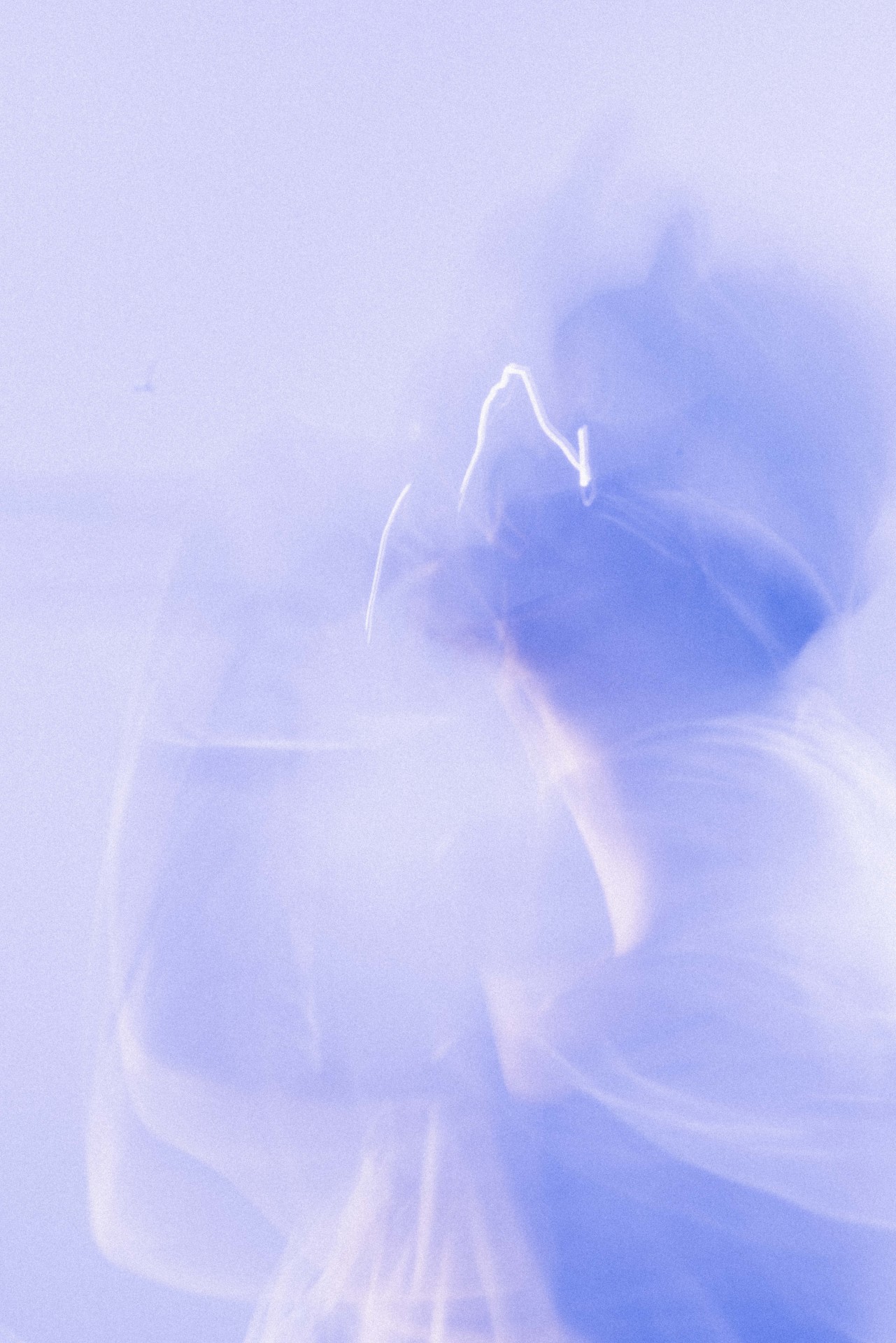5lack（Photo by Taro Mizutani）