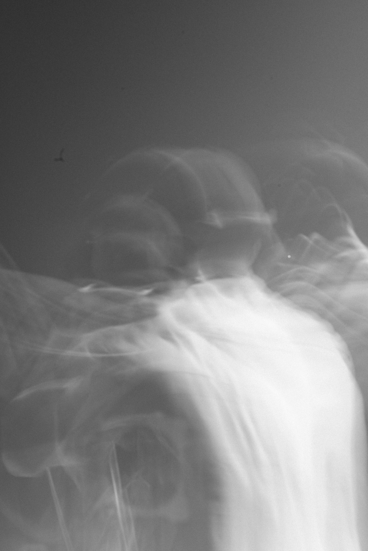 5lack（Photo by Taro Mizutani）