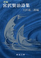 「新編 宮沢賢治詩集」書影