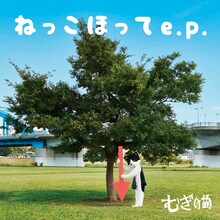 むぎ（猫）「ねっこほって e.p.」ジャケット
