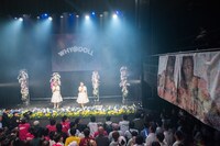 「WHY@DOLLラストライブツアー ～We are always here for you～」最終公演の様子。