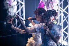 「WHY@DOLLラストライブツアー ～We are always here for you～」最終公演の様子。