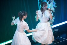 じゃれるWHY@DOLL。