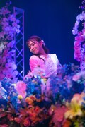 青木千春