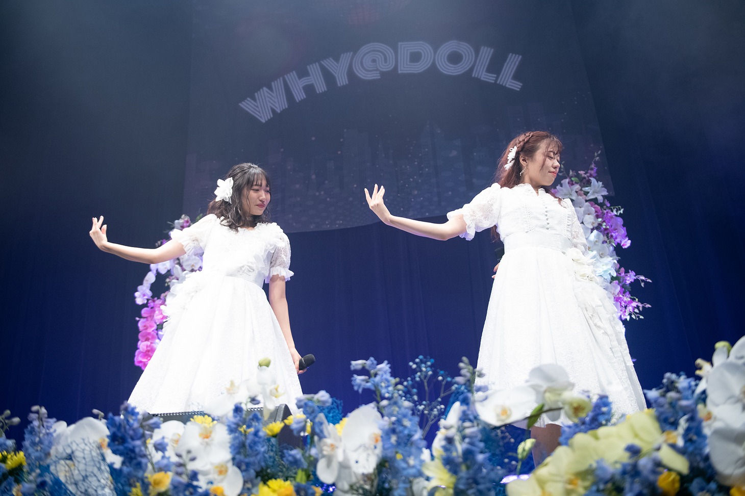 WHY@DOLL