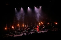 吉田山田「吉田山田10周年記念『大感謝祭』」の様子。（撮影：白石達也）