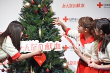 ツリーを飾り付ける（左から）齋藤飛鳥、堀未央奈、与田祐希。