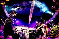 コロナナモレモモ（撮影：浜野カズシ）