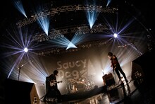 Saucy Dog（撮影：白石達也）