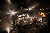 Saucy Dog（撮影：白石達也）