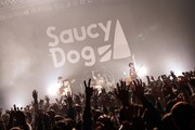 Saucy Dog(撮影:白石達也)