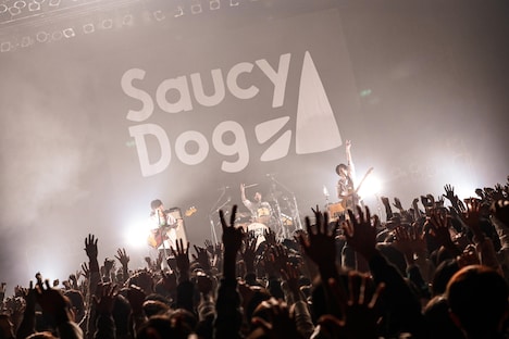 Saucy Dog(撮影:白石達也)
