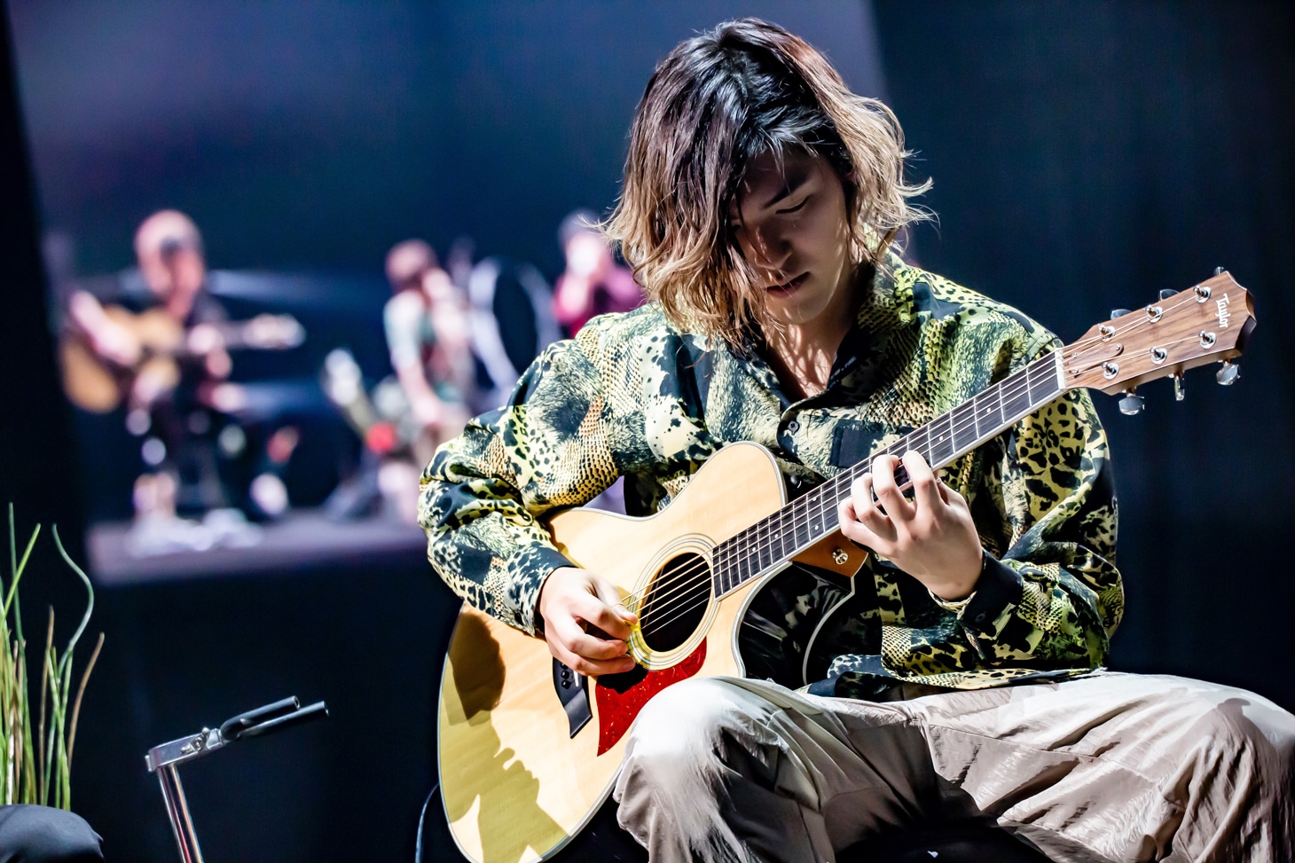 Teru（G）（Photo by TAKASHI KONUMA）