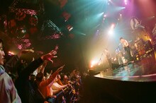 「Dreamin' Night vol.6」Yogee New Wavesのステージの様子。（Photo by Naruki Yamaguchi）