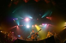 Yogee New Waves（Photo by Naruki Yamaguchi）