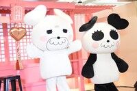 左からクマ丸の着ぐるみに身を包んだGomとパンミィの着ぐるみに身を包んだヤマコ。