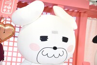 クマ丸の着ぐるみに身を包んだGom。