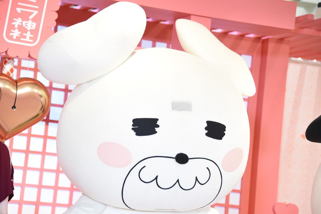 クマ丸の着ぐるみに身を包んだGom。