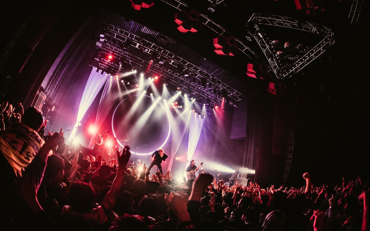 Survive Said The Prophet「Made In Asia Tour Final」東京・新木場STUDIO COAST公演の様子。（Photo by toya）