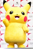 「精一杯がんばりたい」とやる気を見せたピカチュウ。