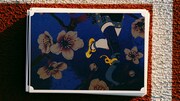 「パラアスリート歌絵巻『風の谷真海』篇」のワンシーン。