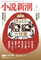 「小説新潮 」2020年1月号表紙