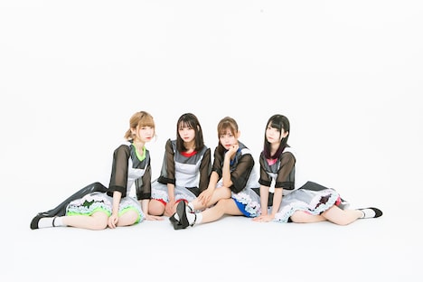 豆柴の大群。左からハナエ、アイカ、ナオ、ミユキ。