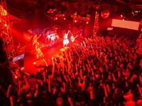 Aldiousのライブの様子。