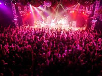 Aldiousのライブの様子。