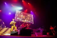 ゲスの極み乙女。「東阪ONEMAN TOUR 2019『変人大集合』」大阪・フェスティバルホール公演の模様。（撮影：渡邉一生）